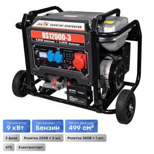 Бензиновий генератор BS12000-3 Bison