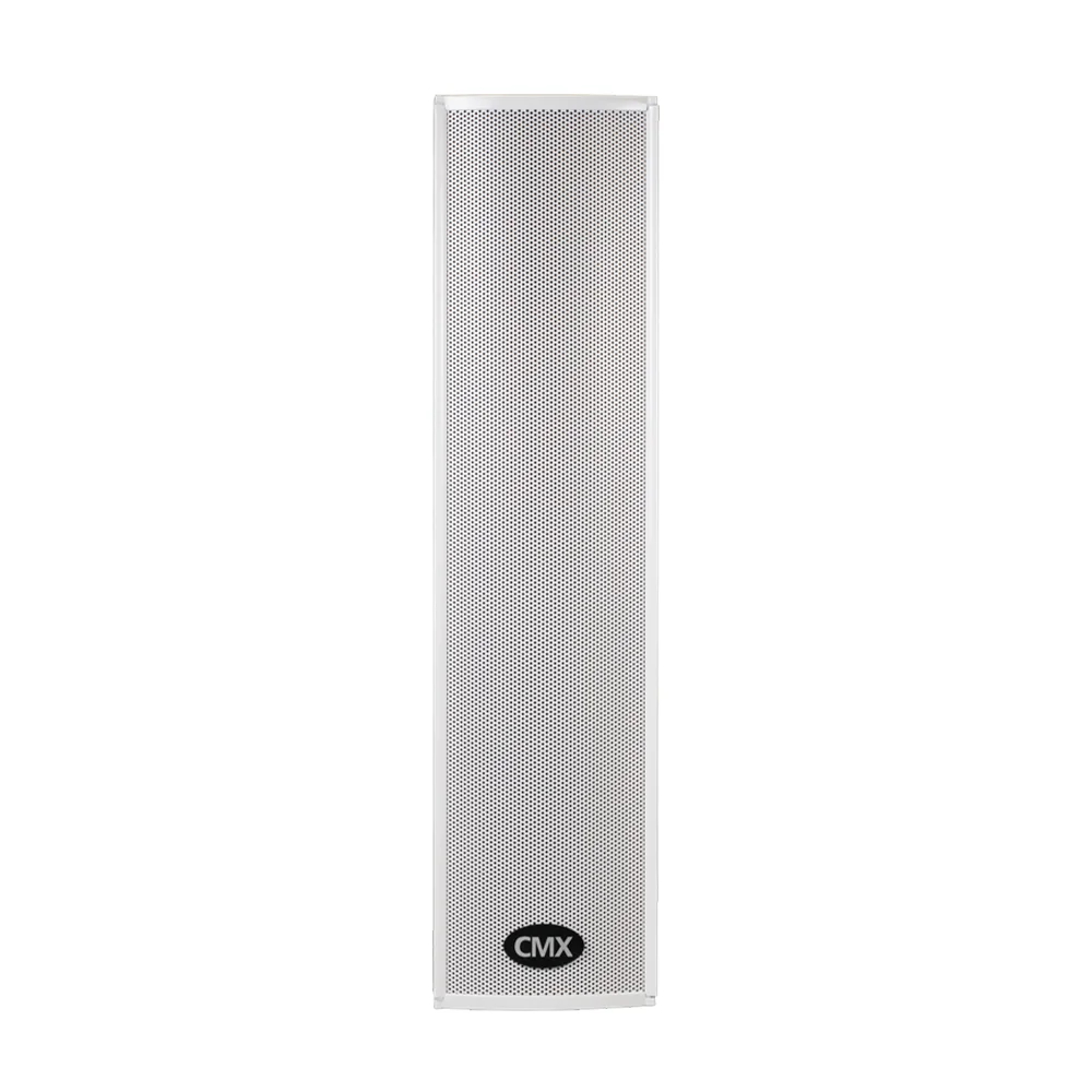 Вуличний гучномовець CLSK-30CAEN CMX Вуличний гучномовець CLSK-30CAEN CMX